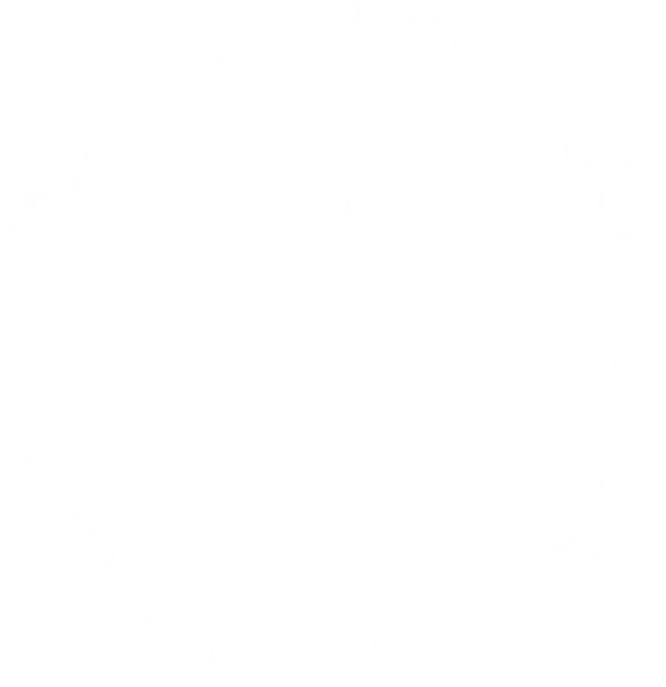 MSA Cajas y Remolques